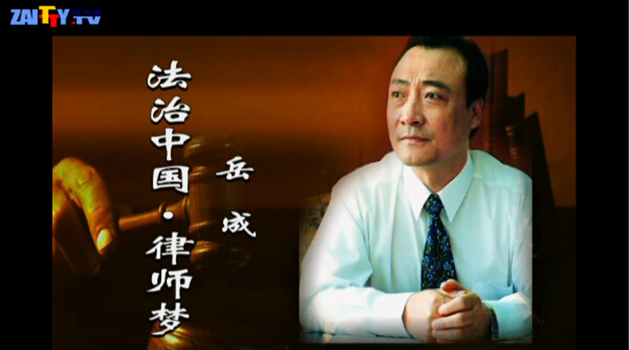 岳成律师